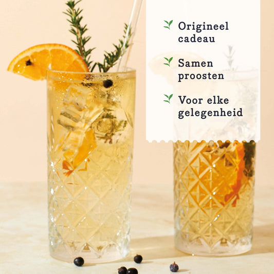 Mix voor Gin Tonic Cocktail - Dutch Dry - Gin Tonic mix Geschenkset - Origineel Cadeau - Gin Tonic Kruiden - Cocktail Set - Gezellig Genieten