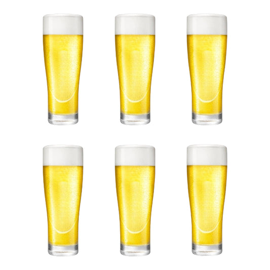 Bierglazen - (6 stuks) - 250ml - Bierglas - Bier - Glas - 25cl/0.25L - Pils - Glazen set - Hoogwaardige Kwaliteit - Vaasje - Speciaal Bier - Weizen