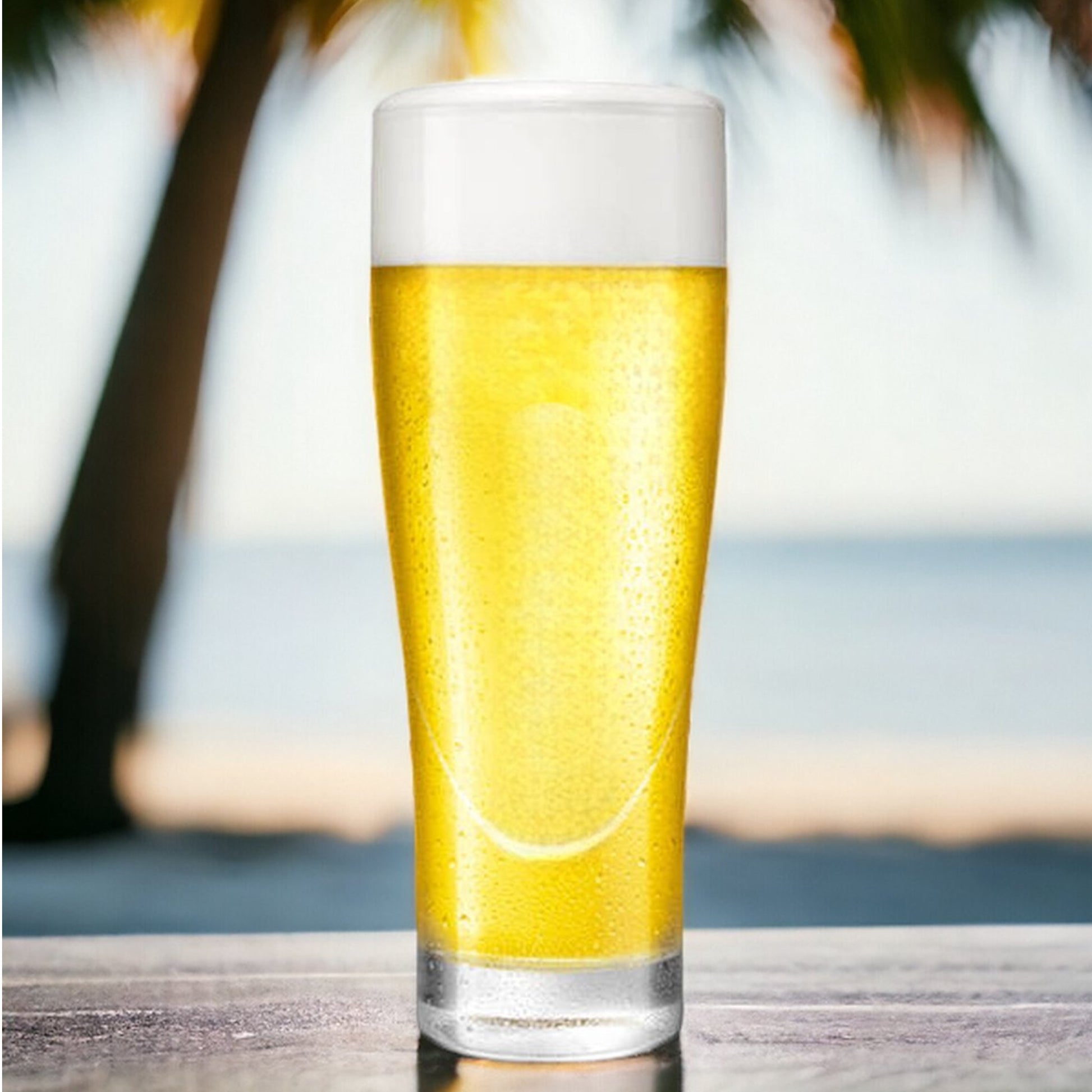 Bierglazen - (6 stuks) - 250ml - Bierglas - Bier - Glas - 25cl/0.25L - Pils - Glazen set - Hoogwaardige Kwaliteit - Vaasje - Speciaal Bier - Weizen