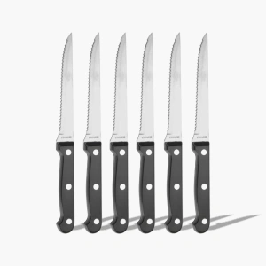Set van 6 steakmessen
