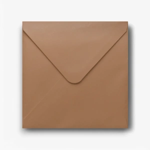 10 kraft enveloppen